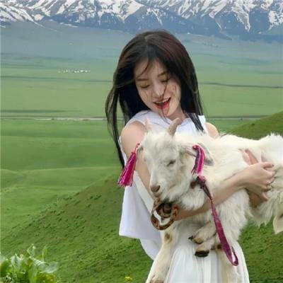 公证人之深度危机